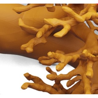 Thumbnail for CrossSDF paper